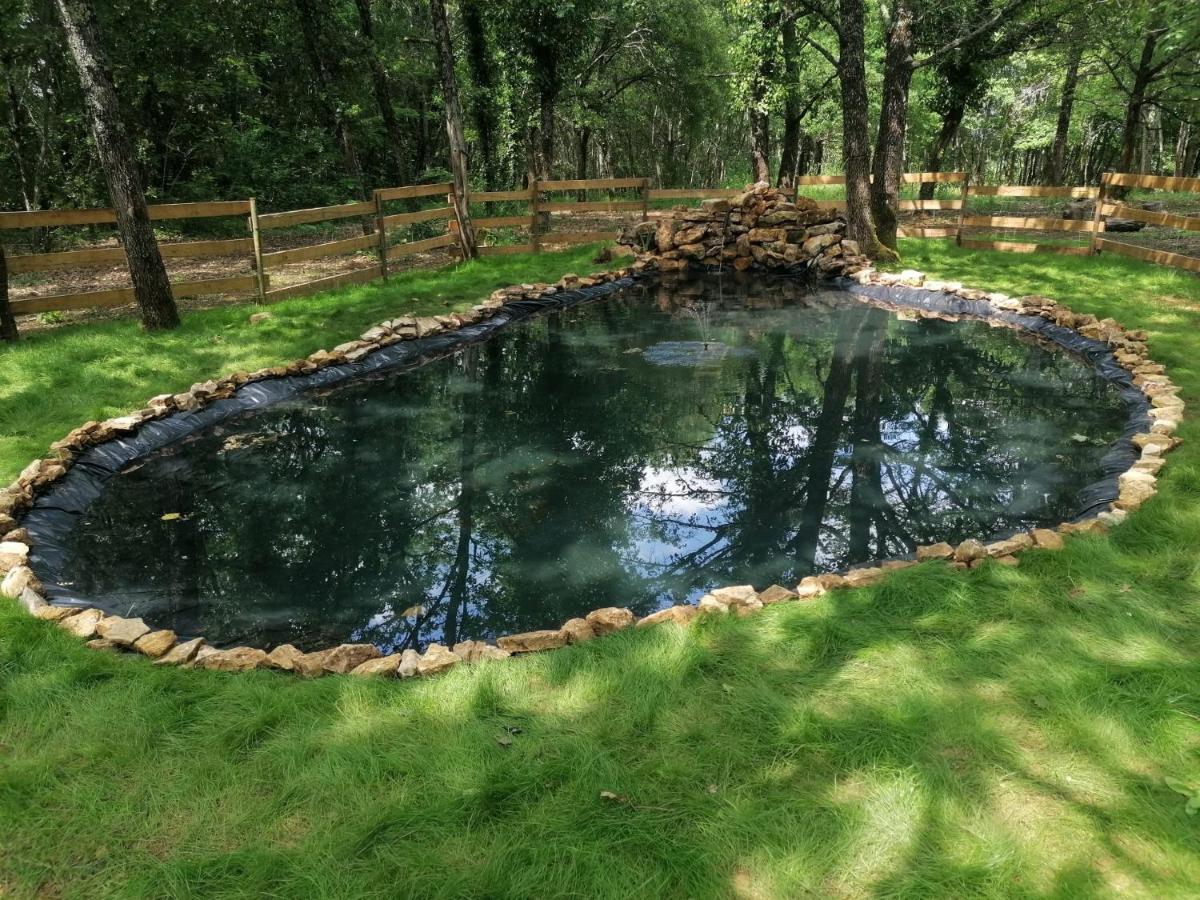 7-Gite-7 Personnes Au Coeur De La Nature /Piscine Saint-Aubin-de-Nabirat Экстерьер фото